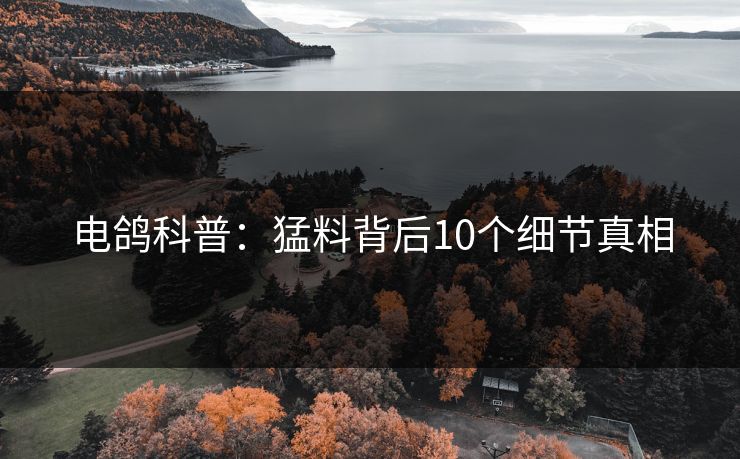 电鸽科普：猛料背后10个细节真相
