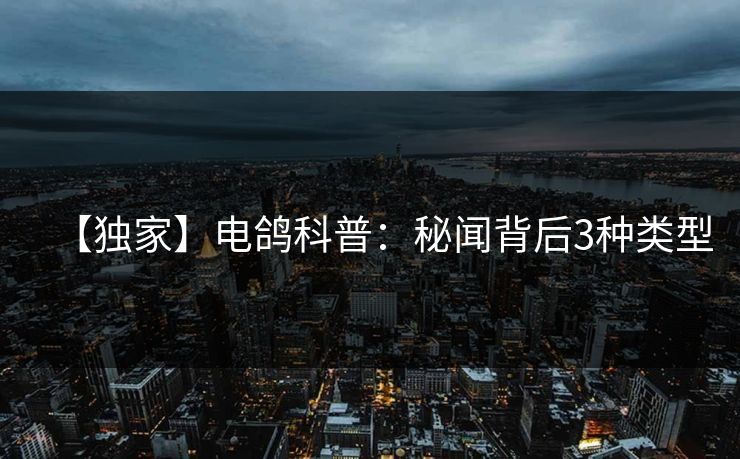 【独家】电鸽科普：秘闻背后3种类型