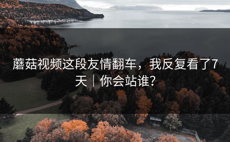 蘑菇视频这段友情翻车，我反复看了7天｜你会站谁？